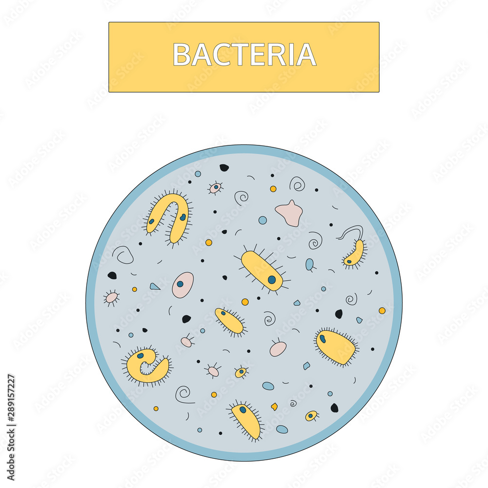 Colorful yellow bacteria with a blue nucleus on a blue background under a microscope. Doodle hand drawn style. Colorful yellow bacteria with a blue nucleus on a blue background under a microscope. Doodle hand drawn style.