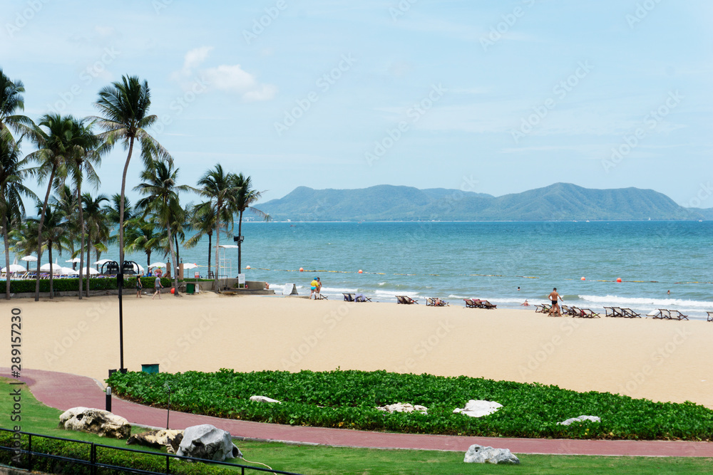Palm trees by the beach with clear blue sky and ocean view. Palm trees by the beach with clear blue sky and ocean view.