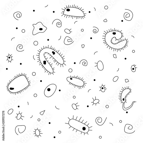 Drawing of bacteria under a microscope in black, white colors. Doodle, handdrawn style.