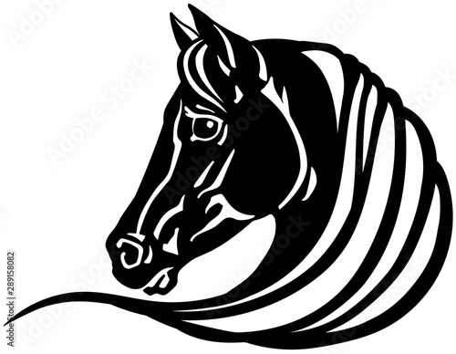 head of black horse. Logo, emblem, tattoo template