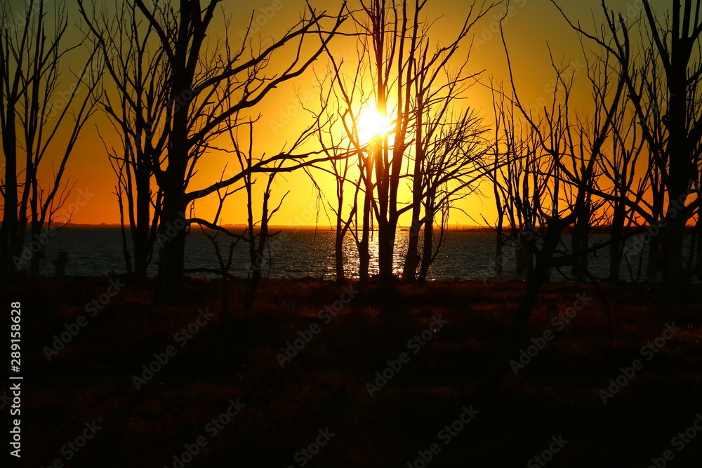 Naklejka premium atardecer dorado sobre una laguna en epecuen, argentina