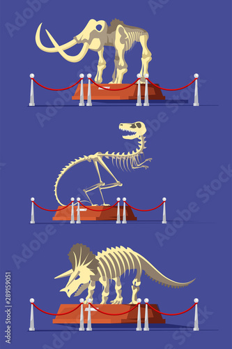 Extinct animals bones vector illustrations set