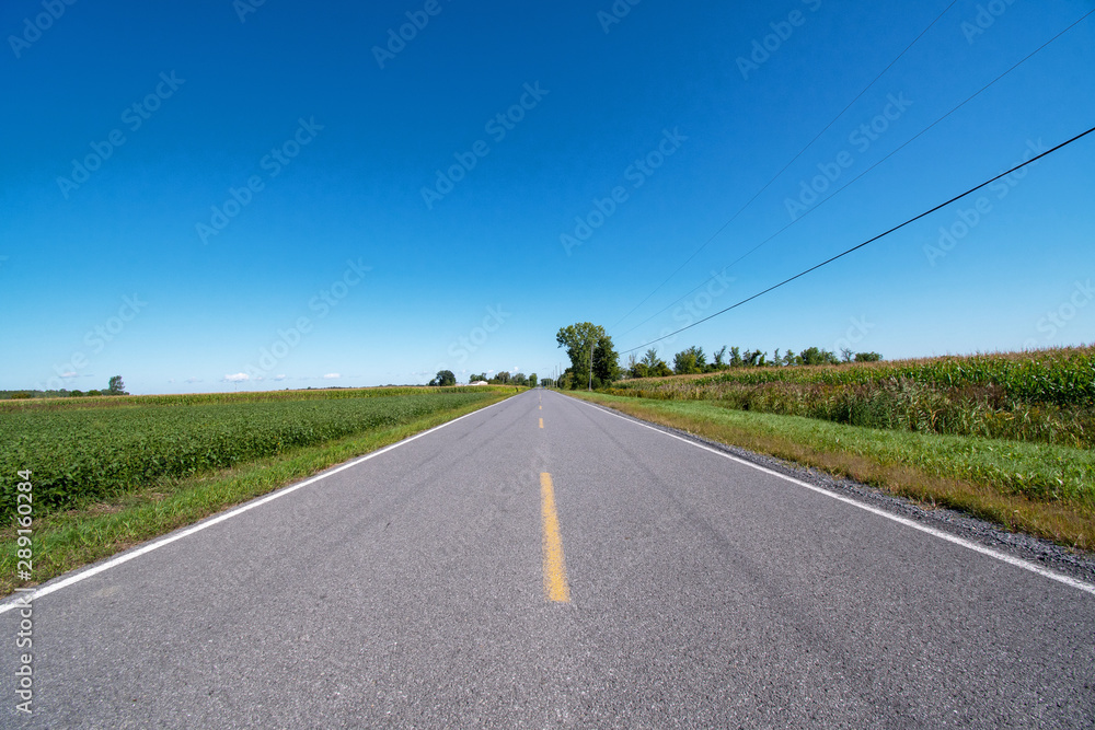 Road in perspective in Quebec