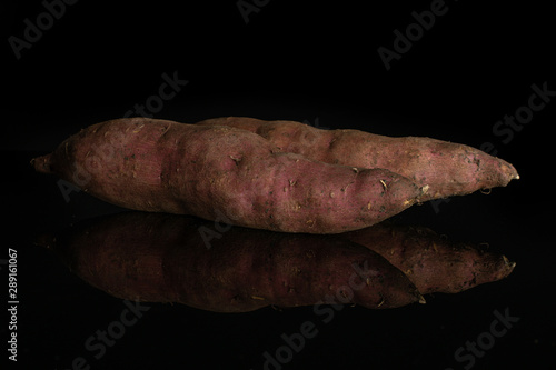 Group of two whole fresh brown sweet potato isolated on black glass