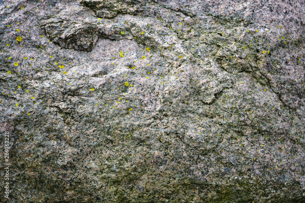Obraz premium Natural stone granite. Granite texture, background, decorative design, a tool for designers.