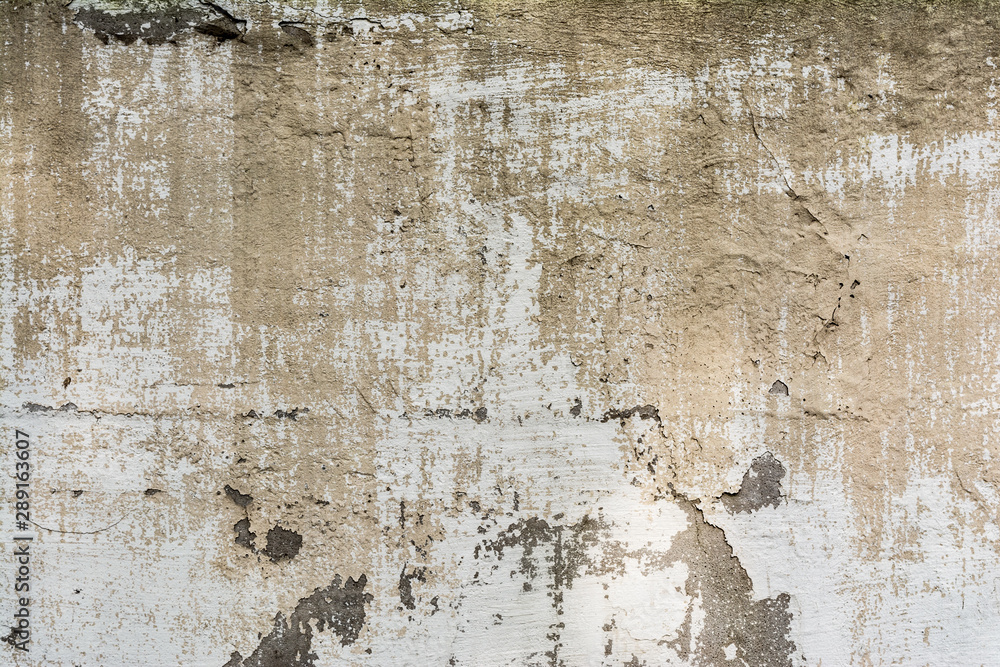texture concrete wall with destroyed plaster layer and paint, shadow from trees, architecture abstraction background