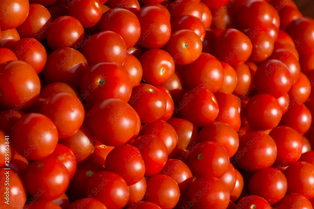 selling tomatoes at a farmer's fair selling tomatoes at a farmer's fair