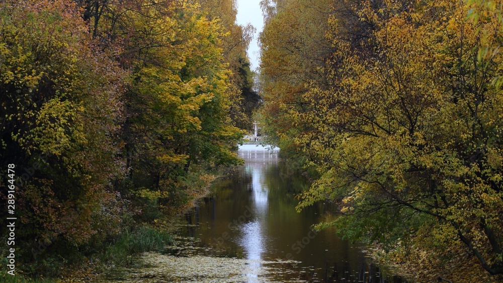 Fototapeta premium autumn in the park