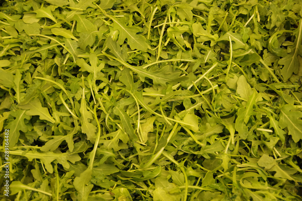 Close-up full frame view of fresh organic arugula rucola salad leaves displayed at a market stand