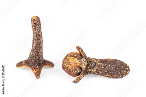 Group of one whole one piece of dry brown clove isolated on white background