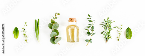 Essential oil and green branches, leaves eucalyptus on white background. Medicinal herbs. Flat lay. Top view. photo