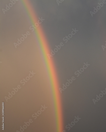 Multi-colored rainbow on a gray background of rainy sky