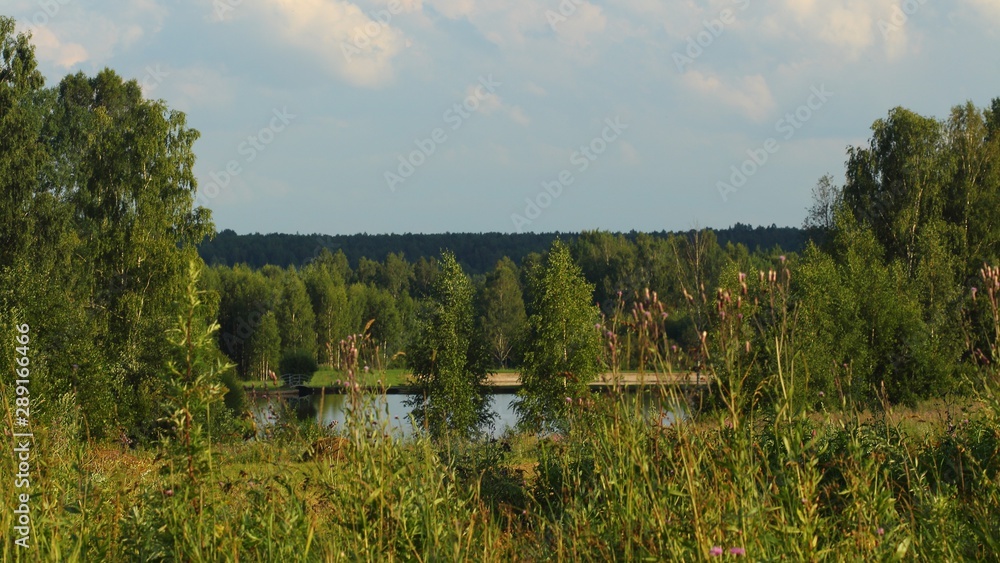 Fototapeta premium landscape with river and trees