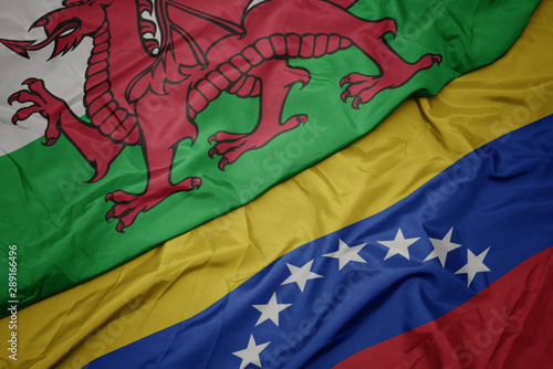 waving colorful flag of venezuela and national flag of wales.