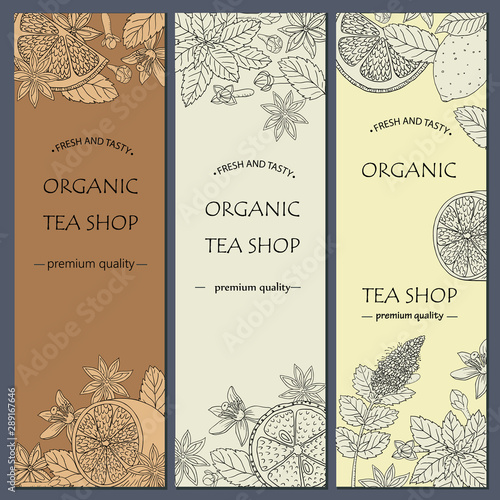 Tea collection.Vector hand drawn illustration of different ingredients for a nice tea drinking. Herbs, spices and fruits on flyer templates