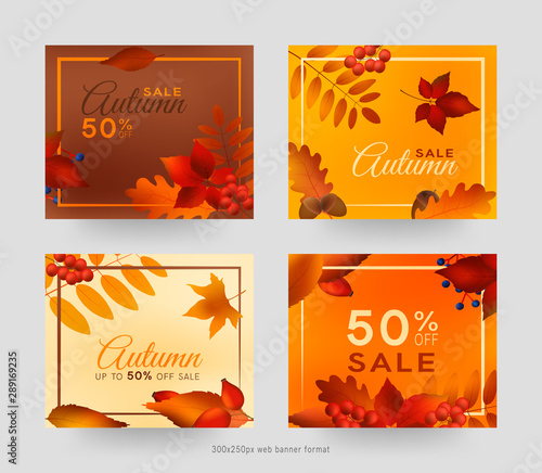 Colorful autumn leaves and berries, sale banner set with frame, autumn forest webb banner templates, 300x250px