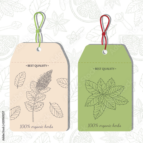 Tea collection.Vector hand drawn illustration of different ingredients for a nice tea drinking. Herbs, spices and fruits on label templates