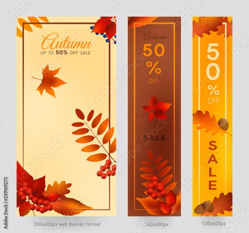 Colorful autumn leaves and berries, sale banner set with frame, autumn forest webb banner templates, 300x600, 160x600 and 120x600px.