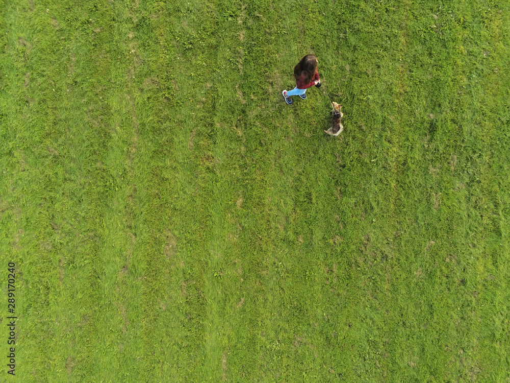 Aerial top view. Yong girl with her small terrier in a field, Copy space. Aerial top view. Yong girl with her small terrier in a field, Copy space.