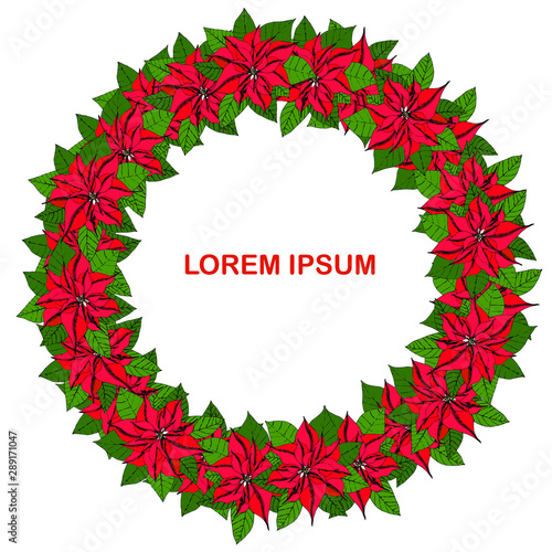Poinsettia wreath Lorem Ipsum. Green leaves red flowers on white hand drawn winter holidays stock vector illustration for web, for print