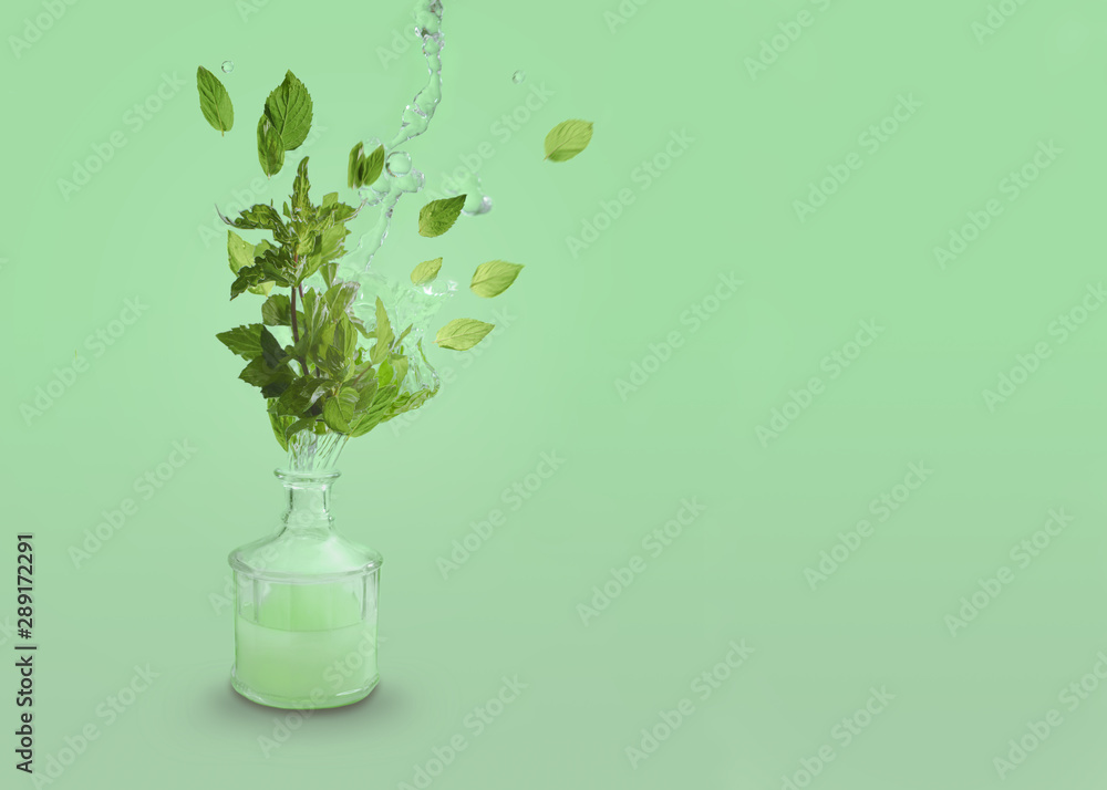 A symbolic image of a mint color, flavor or aroma.