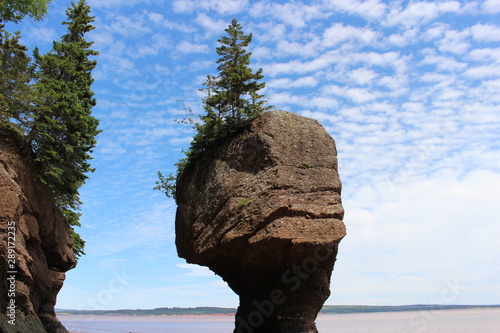 Rock with trees on it at the Bay of Fundy with puffy clouds