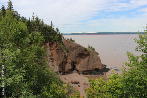 Rock wall in Bay of Fundy with trees on top