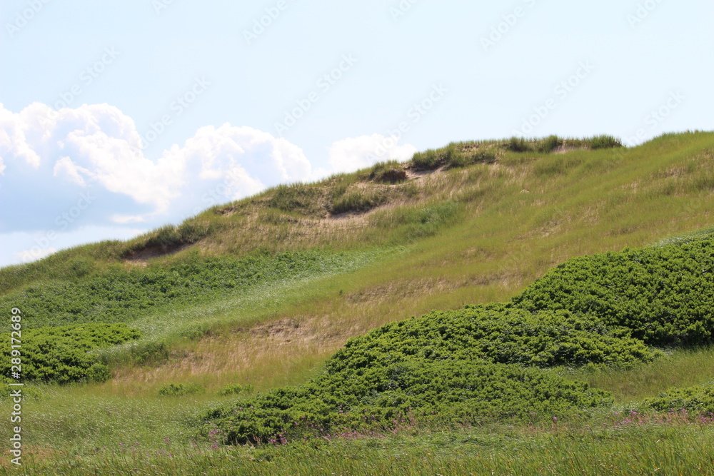 Sand dune in Prince Edward Island