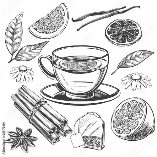 tea set isolated on white background hand drawn vector illustration realistic sketch