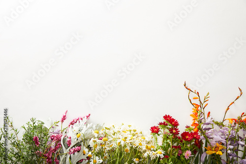 top view of wildflowers and herbs on white background with copy space