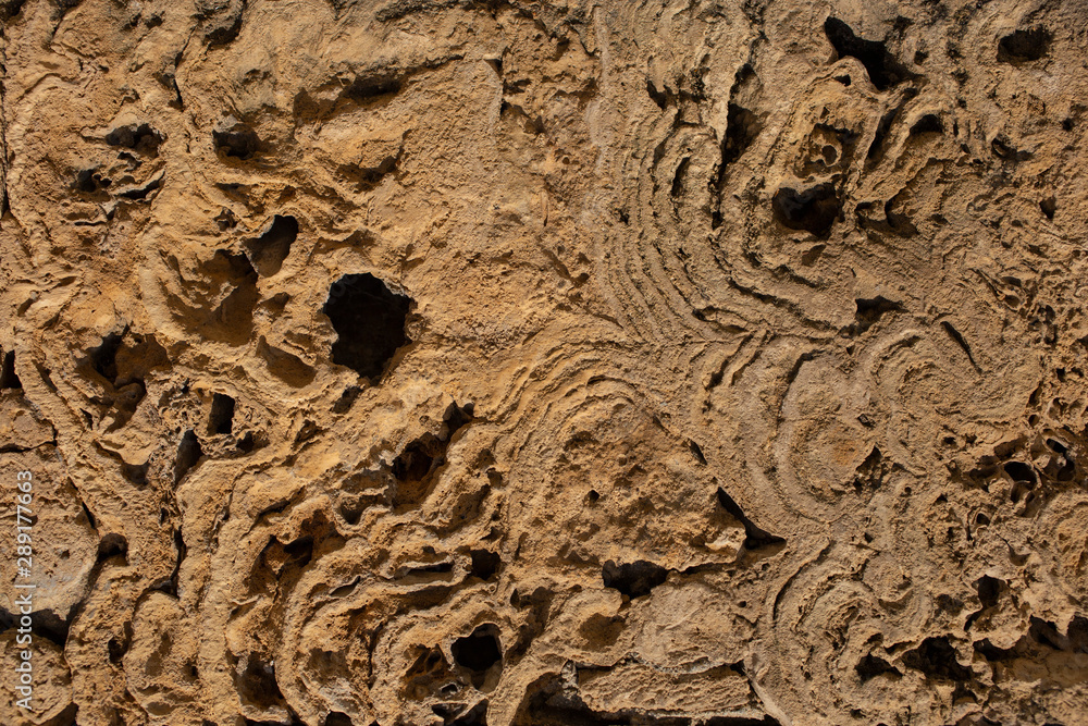 The texture of marine sedimentary rock, used in finishing works in construction. Wall. Stone. Bricks. Volcanic tuff. The texture of marine sedimentary rock, used in finishing works in construction. Wall. Stone. Bricks. Volcanic tuff.