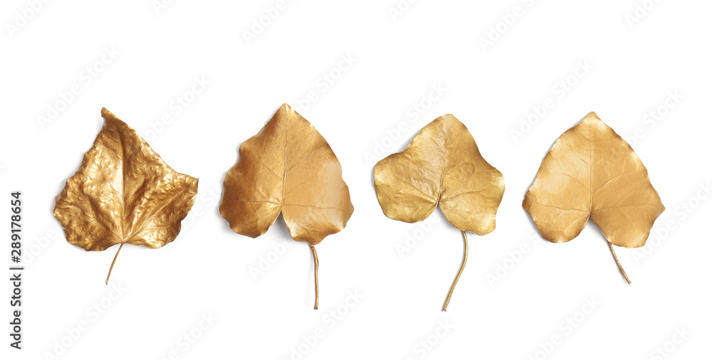 Fototapeta Złoto malowane jesienne liście na białym tle na biały, płaskie świeckich