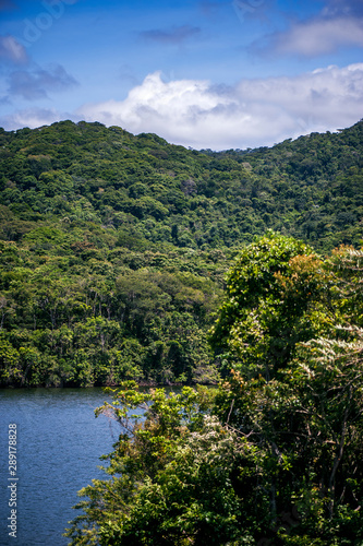 Forest e Lagoon photographed in the city of Cariacica, Espirito Santo. Southeast of Brazil. Atlantic Forest Biome. Picture made in 2012.