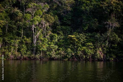 Forest e Lagoon photographed in the city of Cariacica, Espirito Santo. Southeast of Brazil. Atlantic Forest Biome. Picture made in 2012.