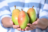 Woman holding fresh ripe juicy pears, closeup