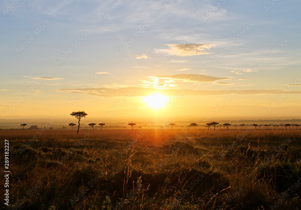 sunset over field in masai mara safari sunset over field in masai mara safari