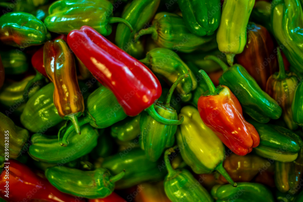 Spicy Jalapeños 1 Spicy Jalapeños 1