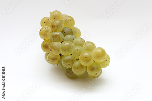 isolated green bunch of grapes on a white background