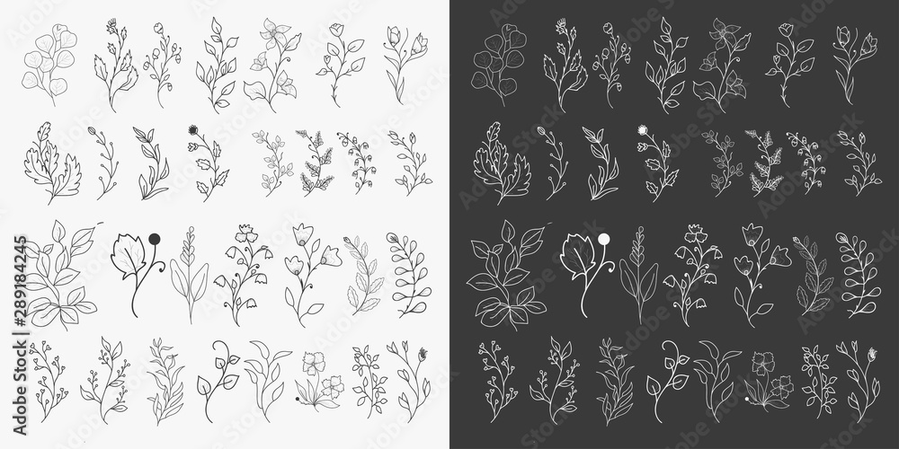 Hand Drawn Floral Elements Vector Hand Drawn Floral Elements Vector