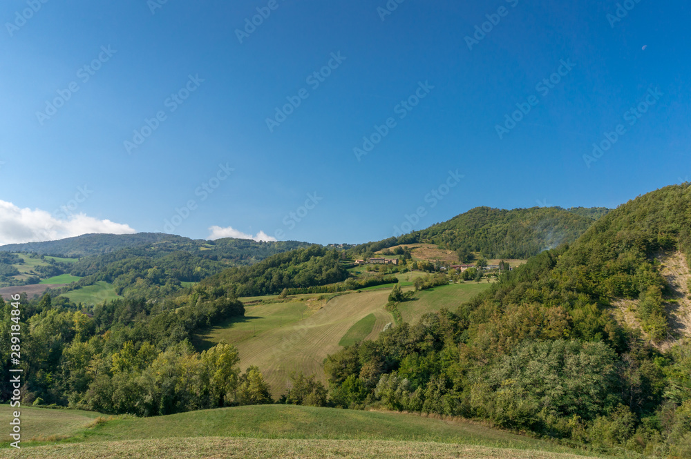 Countryside summer landscape with farmland and forest