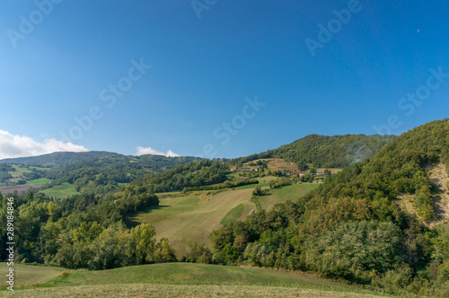 Countryside summer landscape with farmland and forest