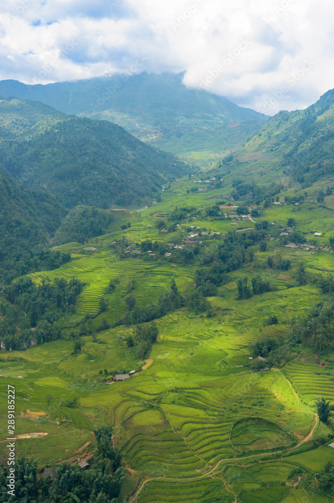Beautiful mountain valley landscape of rice terraces in Asia - obrazy, fototapety, plakaty 