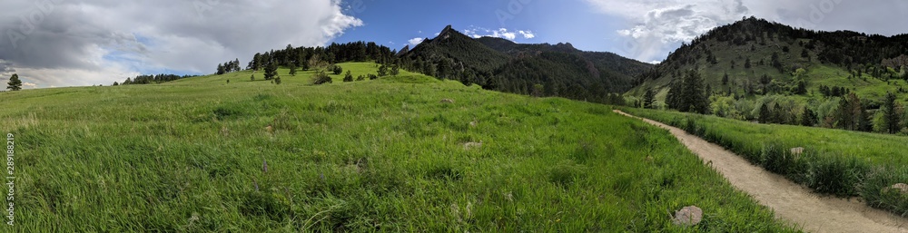 mountain top scenic view of canyon valley below surrounded by forest trees and plants trail mountain top scenic view of canyon valley below surrounded by forest trees and plants trail