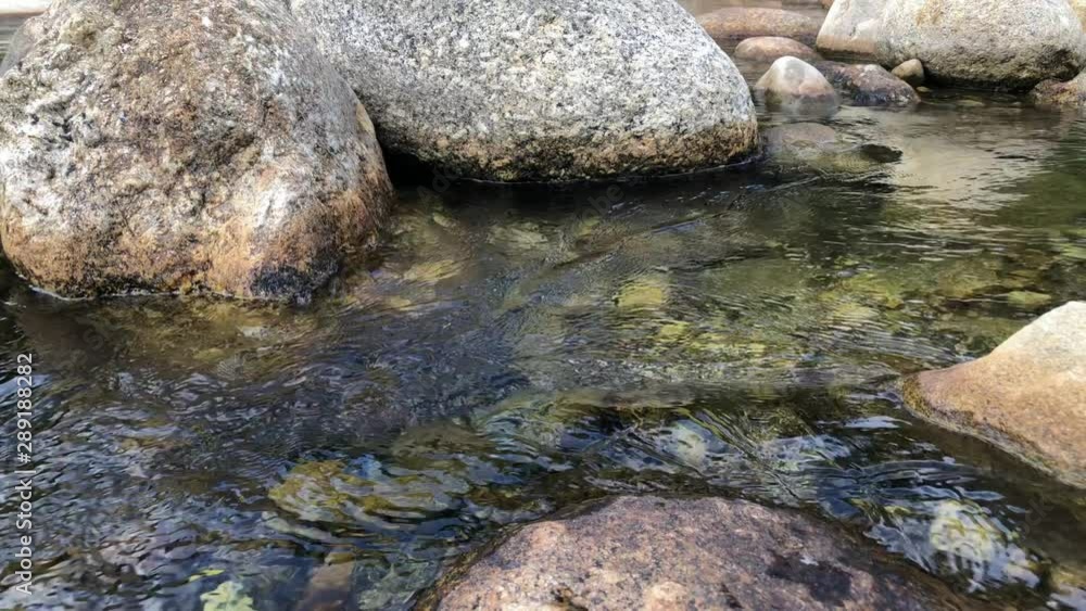 4K : Water stream flowing over rocks in a forest. Summer holiday. 4K : Water stream flowing over rocks in a forest. Summer holiday.