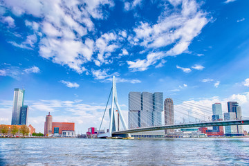 Fototapete Rotterdam Erasmusbrücke Rotterdam mit Hafenblick  © danmorgan12