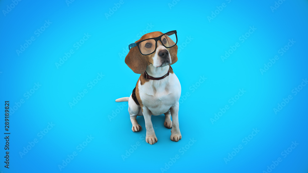 concept businnes pet or dog intelligence training. 3d rendering