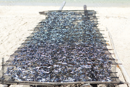 Salted sun dried small anchovy fish under the hot sunny day. Local seafood industry in Philippines. Narrow depth of field details.
