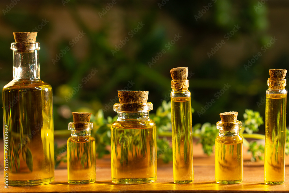 Bottles of oil and fresh plants background 