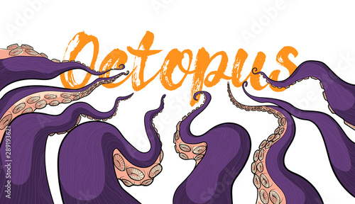 Tentacles an Octopus colorful vector illustration in cartoons style on white background with yellow grunge banner. Art of Krakens or squids palpus for banners, wallpaper, marketing presentation