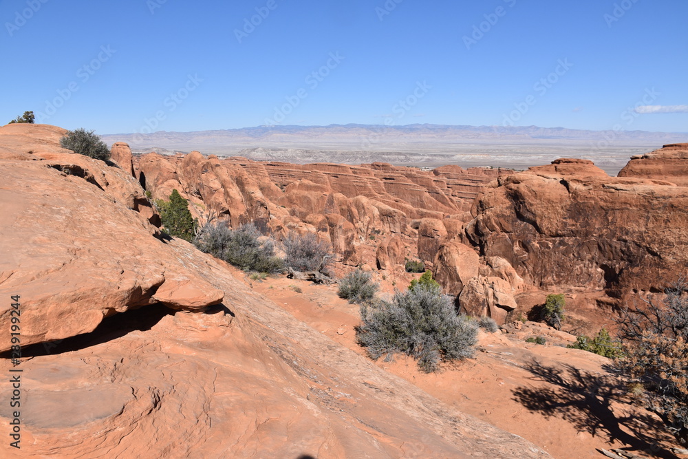 Fototapeta premium The arches national park